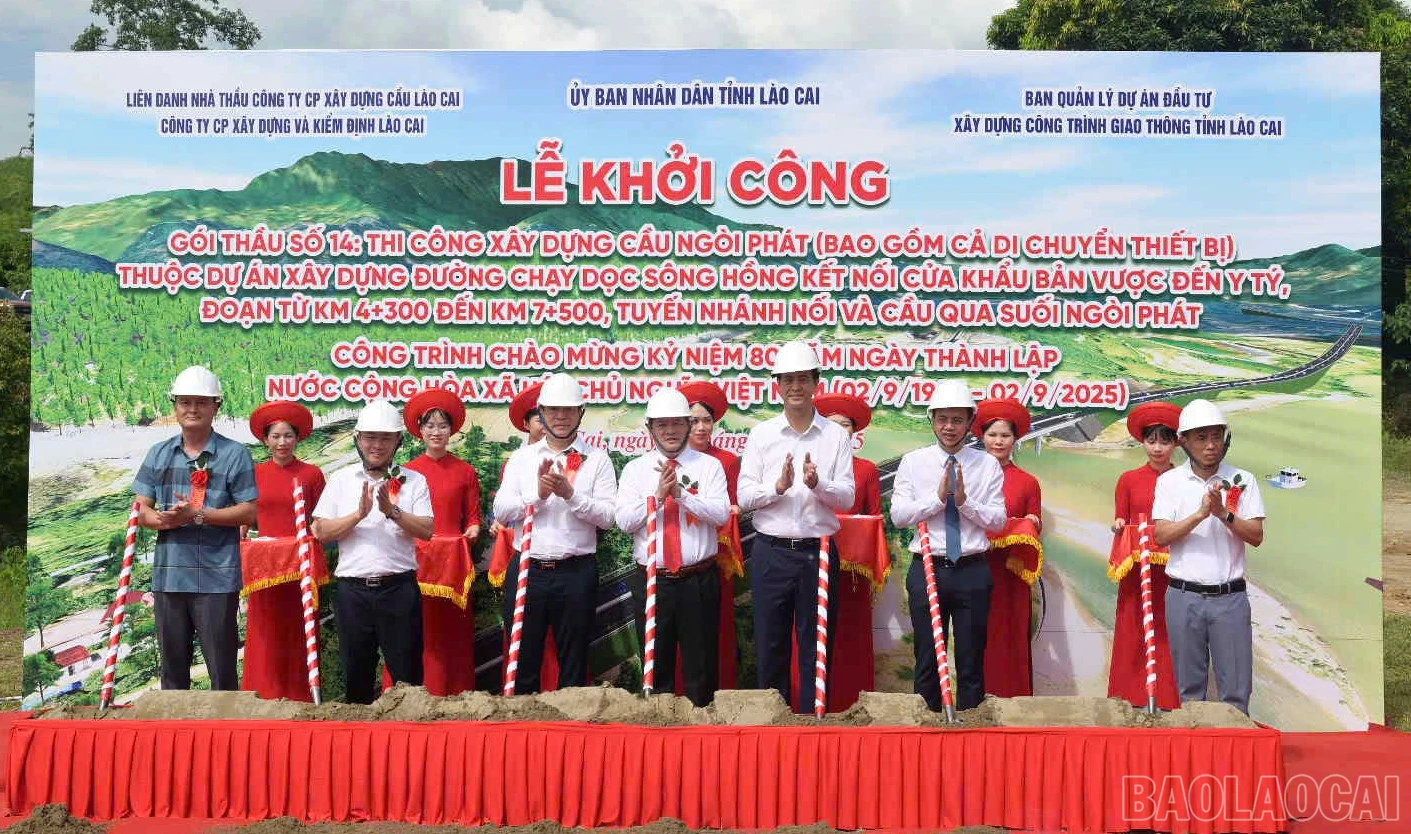 baolaocai-br_kc-5.jpg