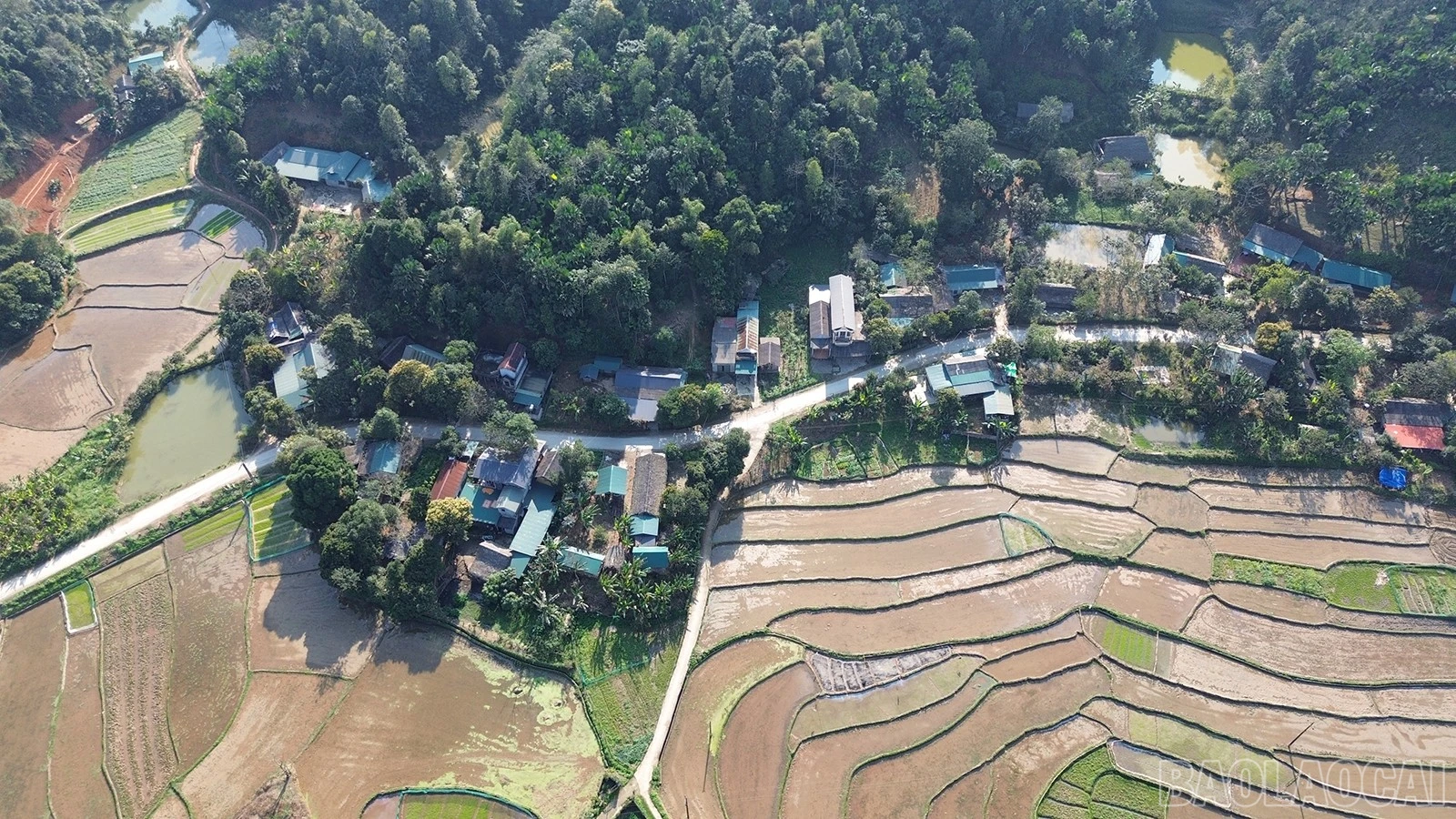 baolaocai-br_dji-0257.jpg