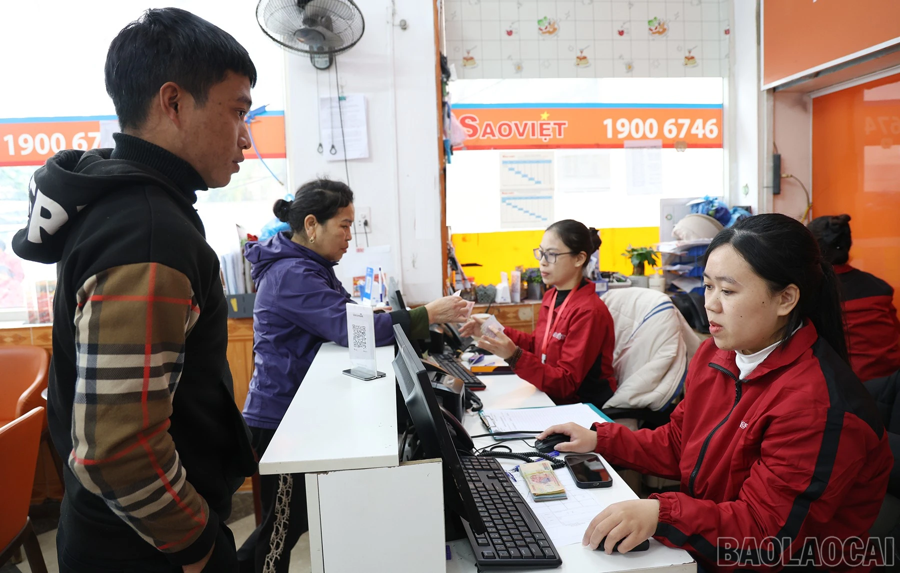 baolaocai-br_img-2819.jpg