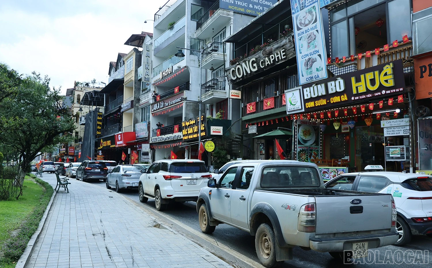 baolaocai-br_ham-3.jpg