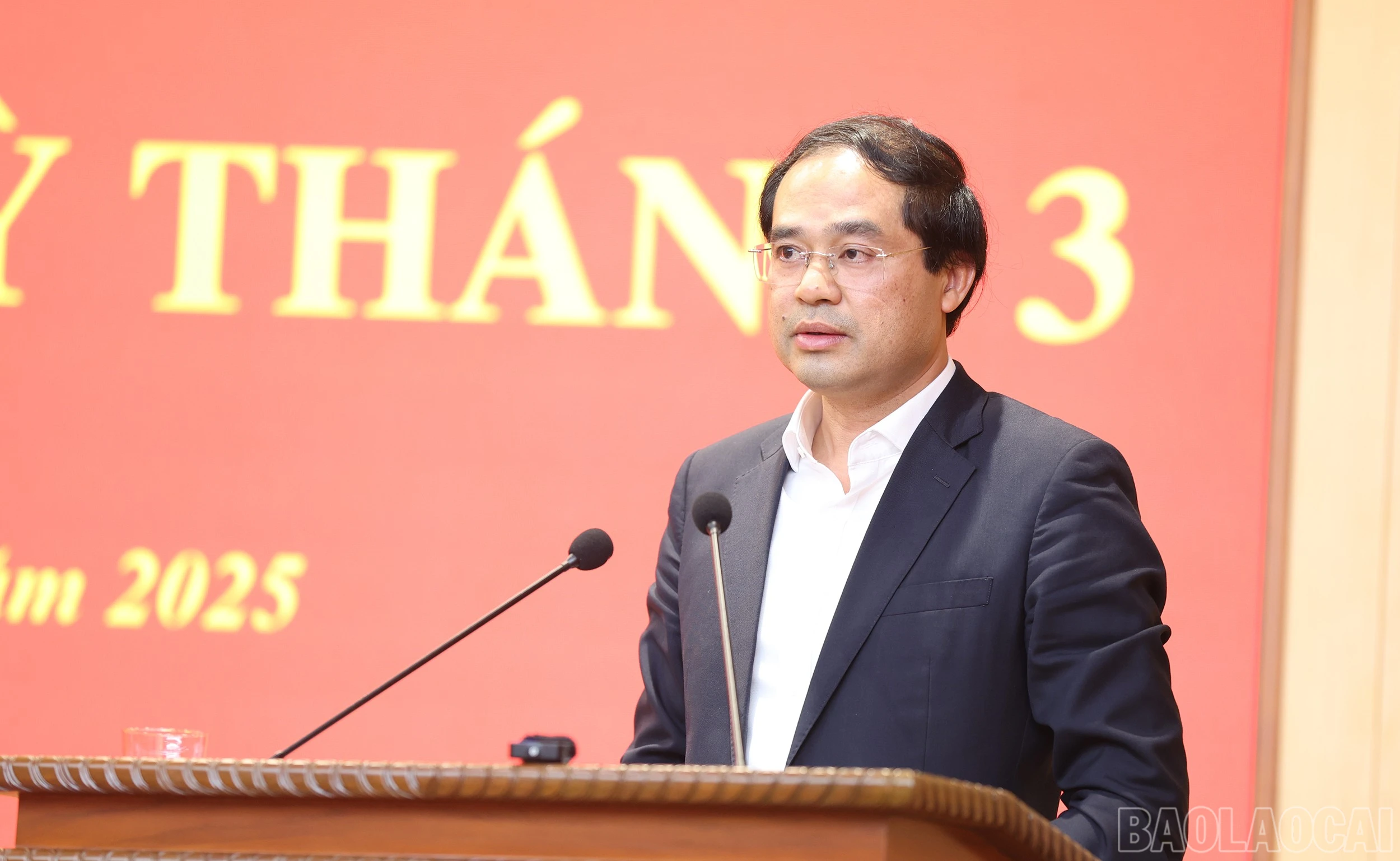 baolaocai-br_img-0269.jpg