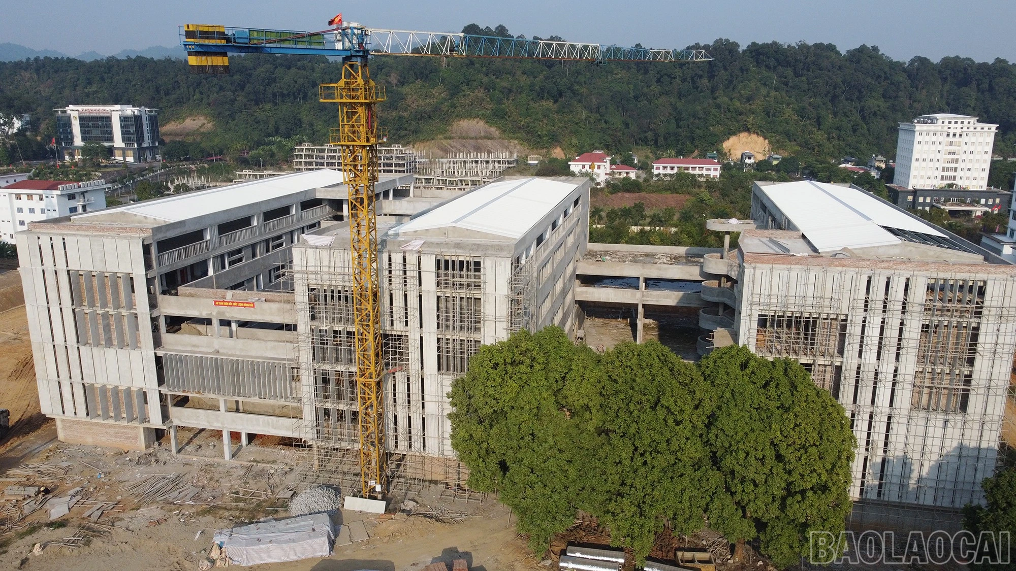 baolaocai-br_dji-0112.jpg