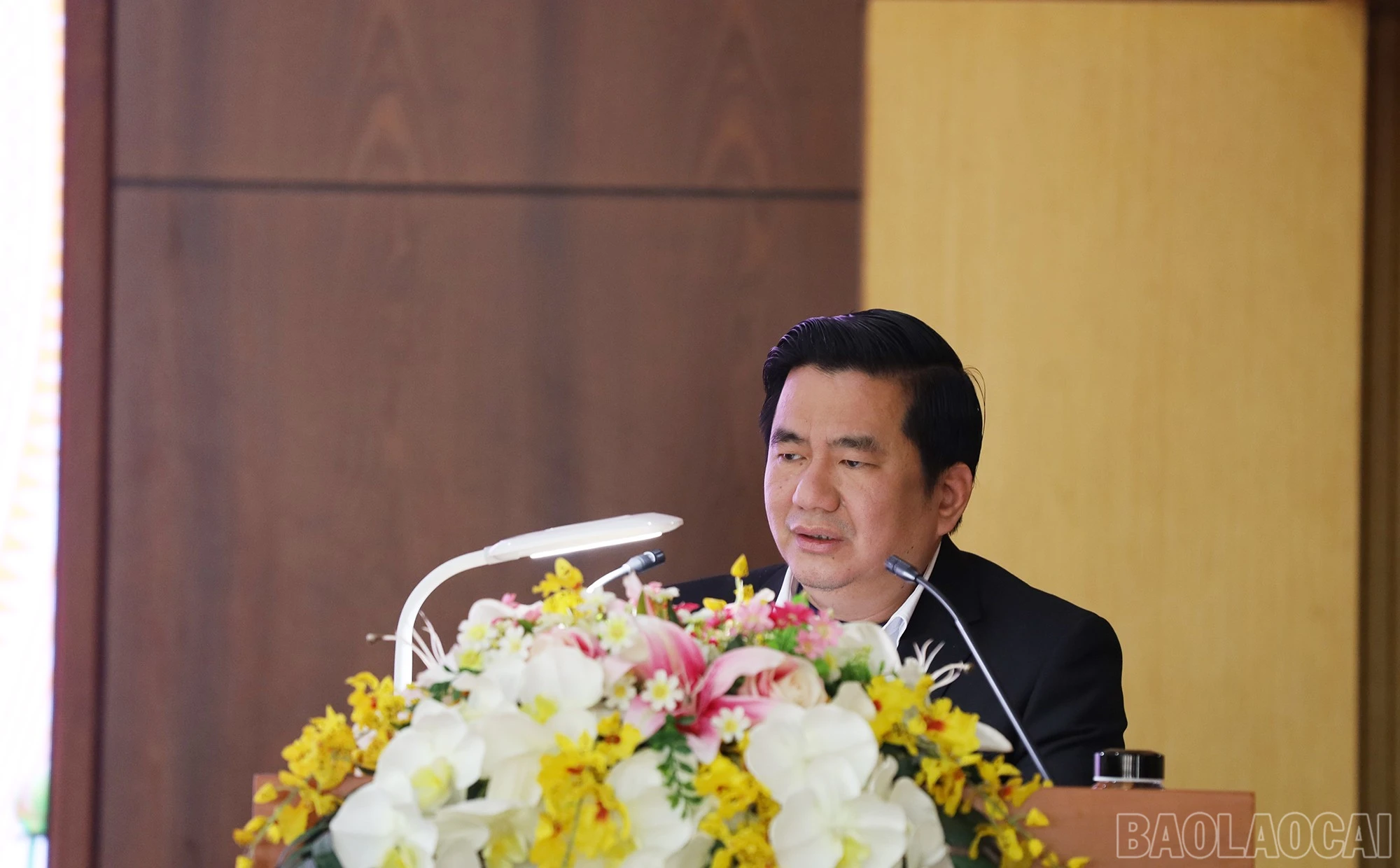 baolaocai-br_img-6923.jpg