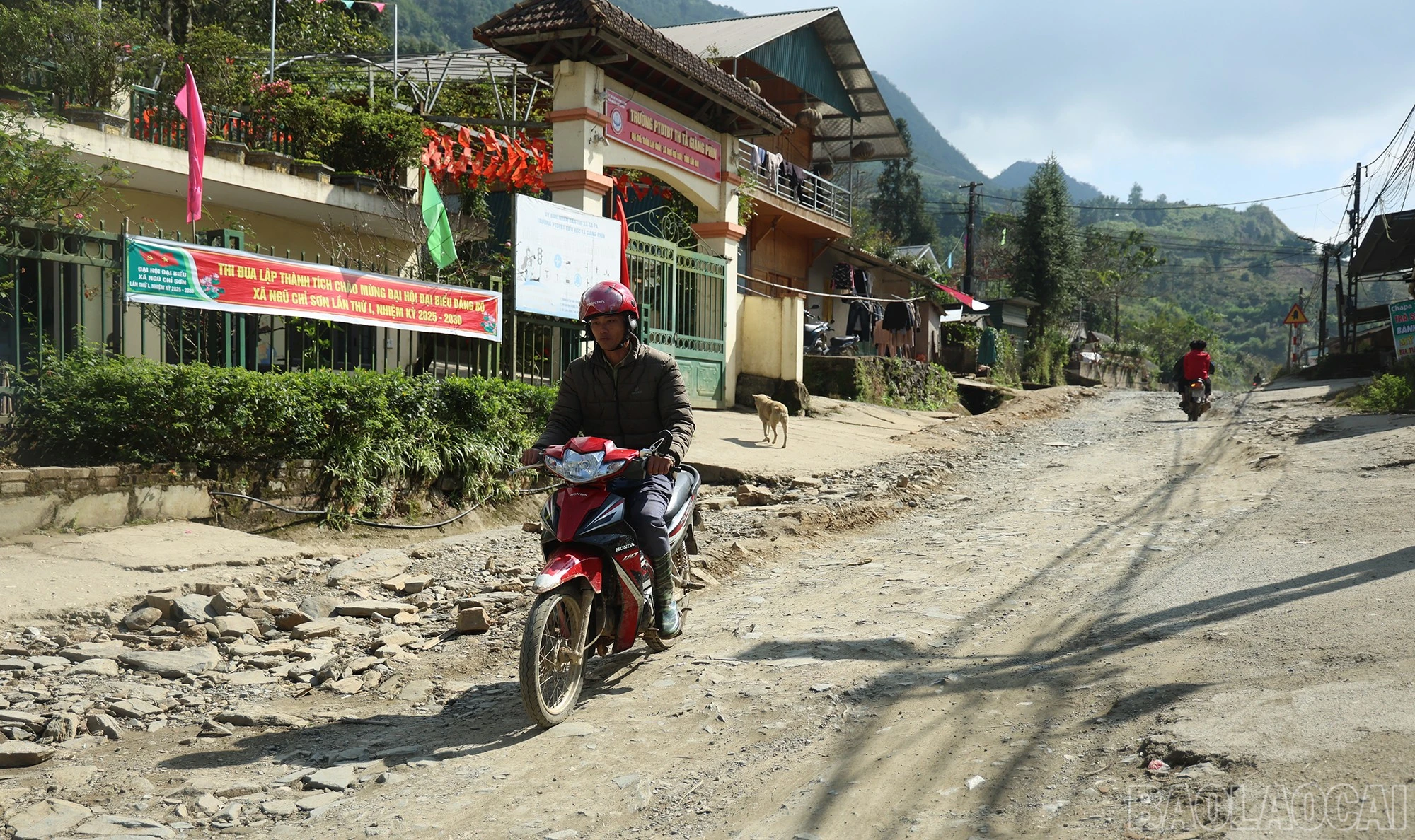 baolaocai-br_tl155-2.jpg