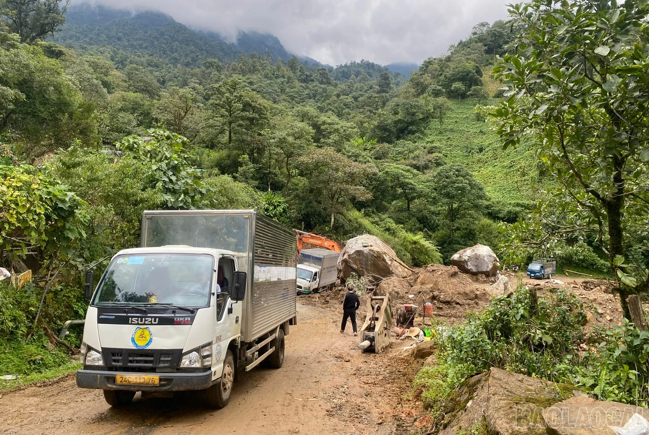 baolaocai-br_tl155-6.jpg