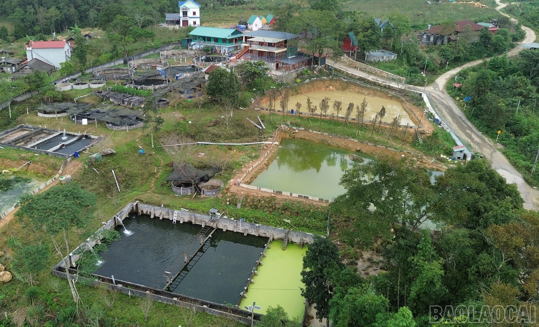 baolaocai-br_dji-0098.jpg