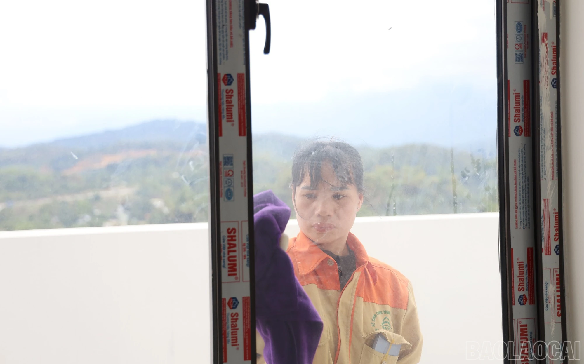 baolaocai-br_img-9346.jpg