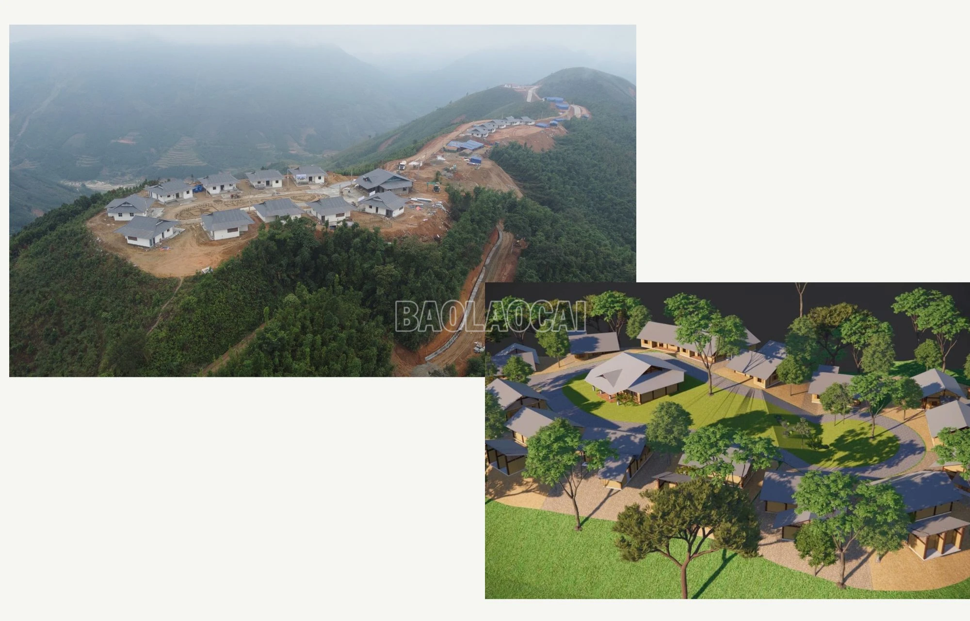 baolaocai-c_5.jpg