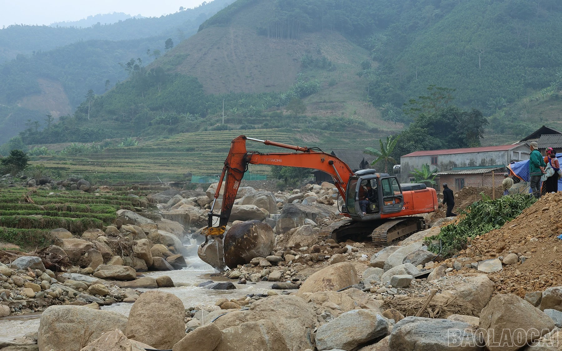 baolaocai-br_img-3112.jpg