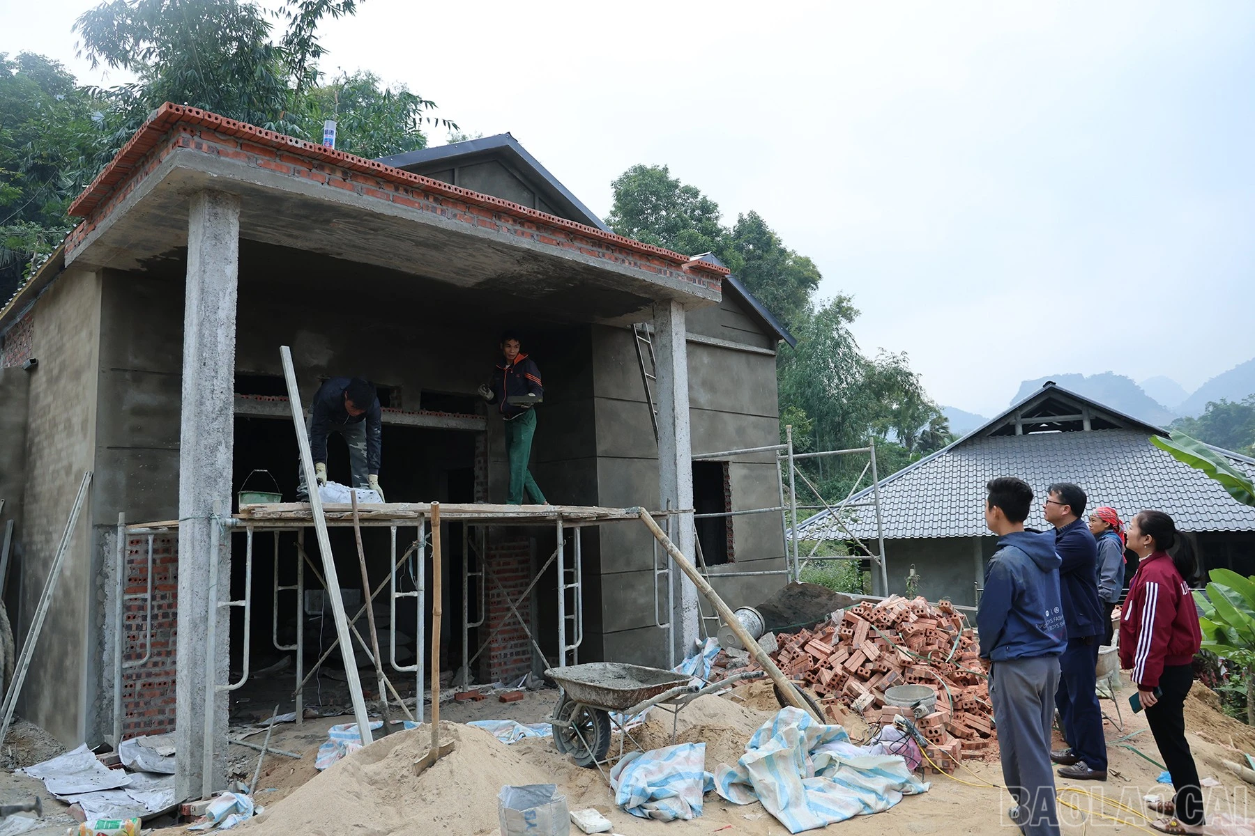 baolaocai-br_img-3091.jpg