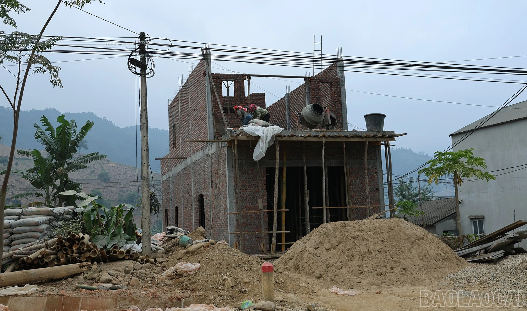 baolaocai-br_img-3113.jpg