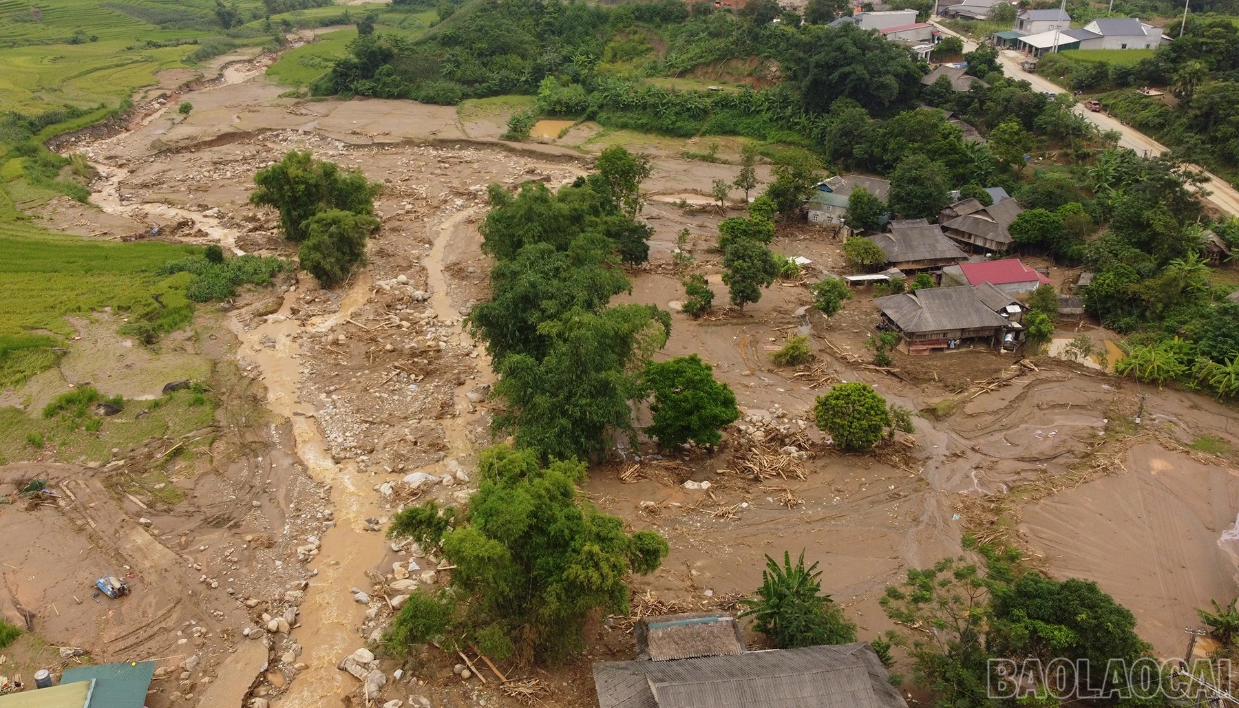 baolaocai-br_dji-0836.jpg