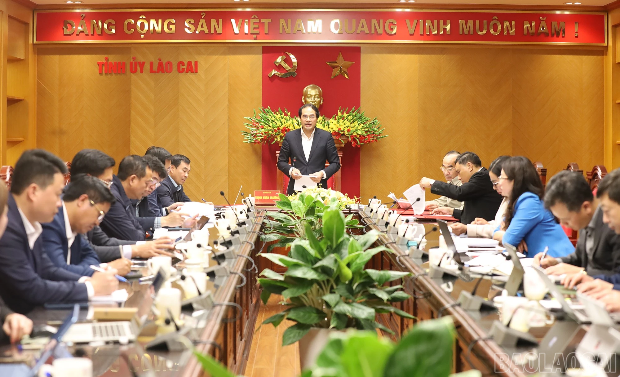 baolaocai-br_img-9537.jpg