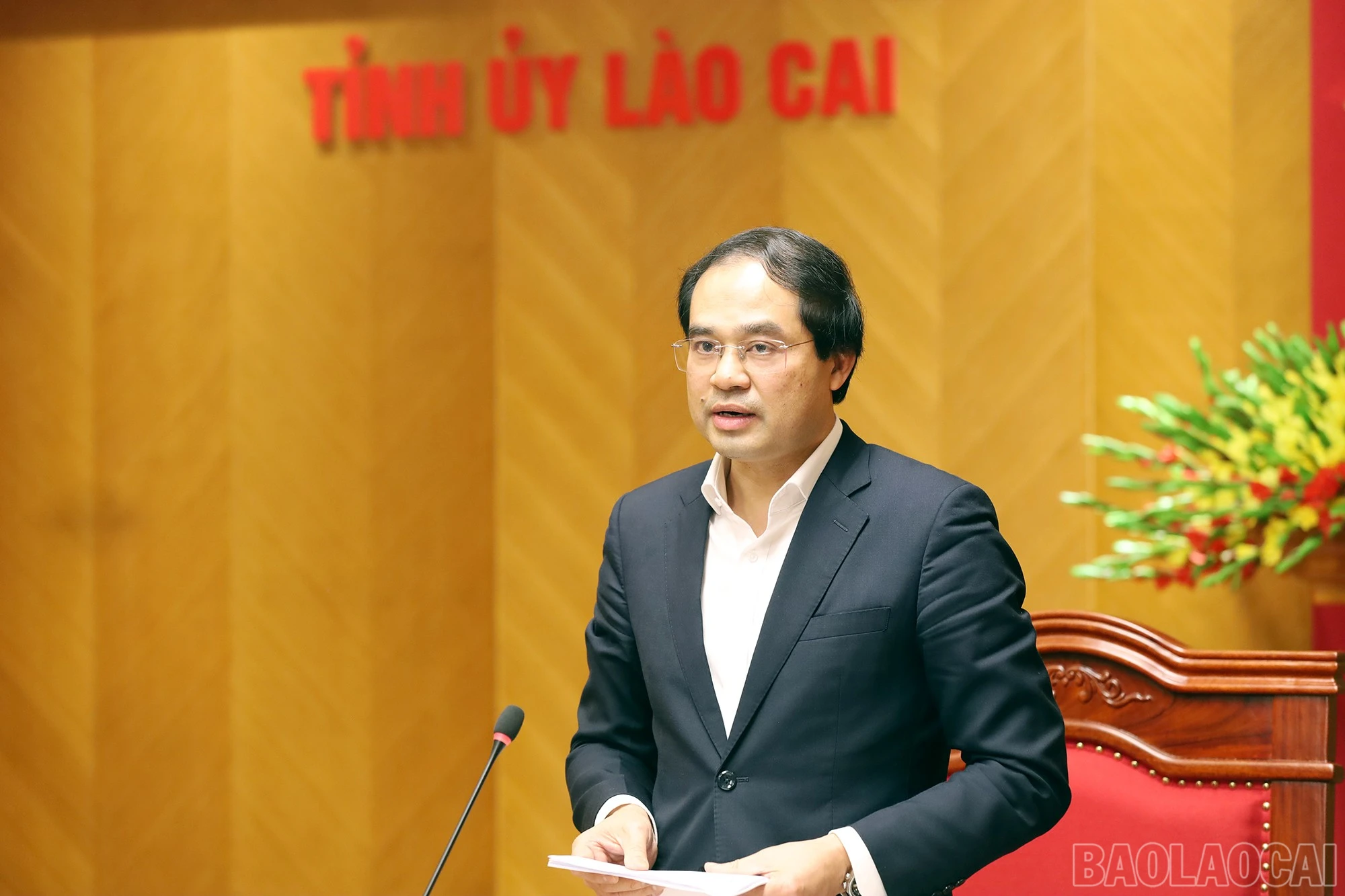 baolaocai-br_img-9546.jpg