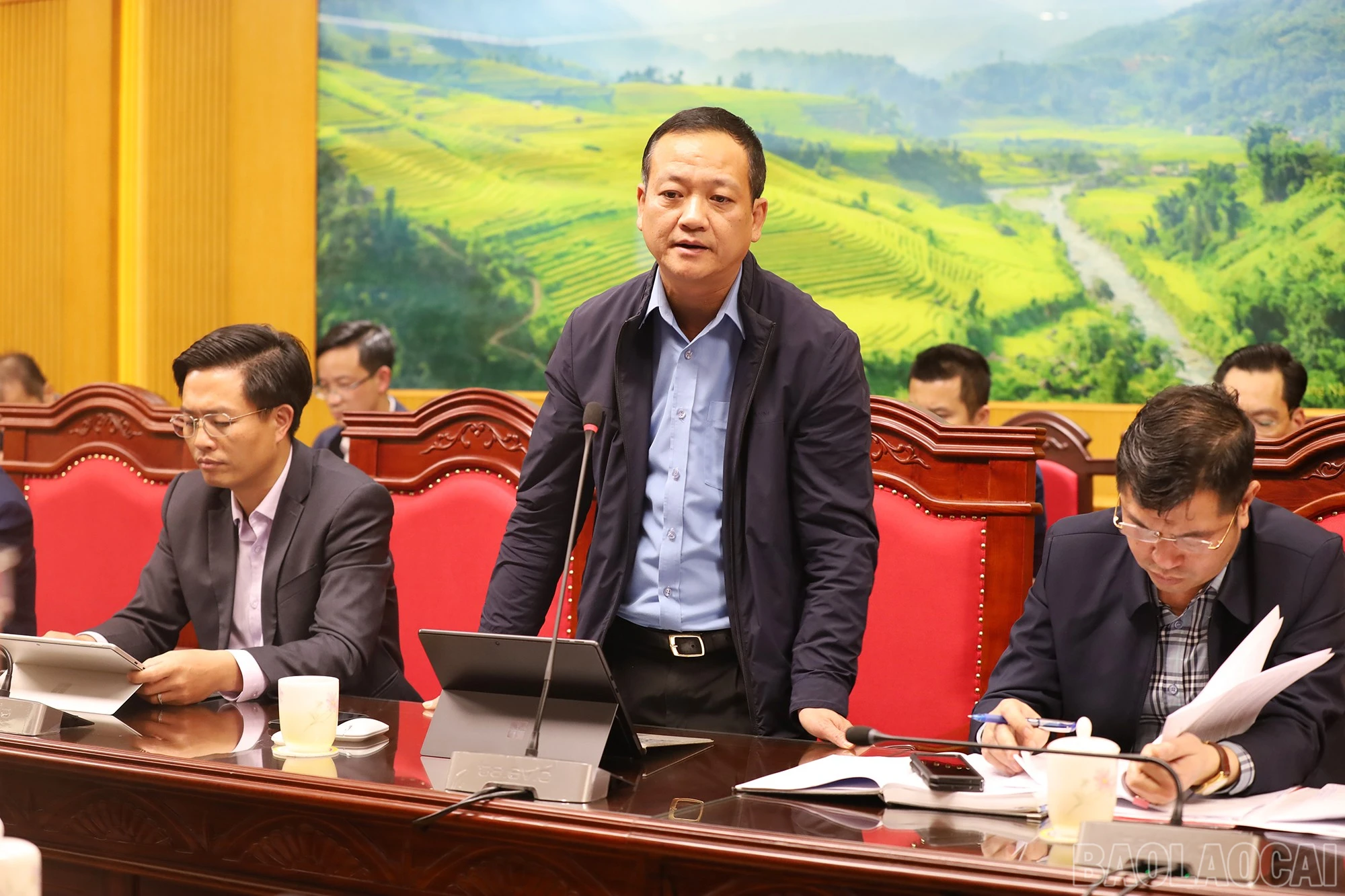 baolaocai-br_img-9472.jpg