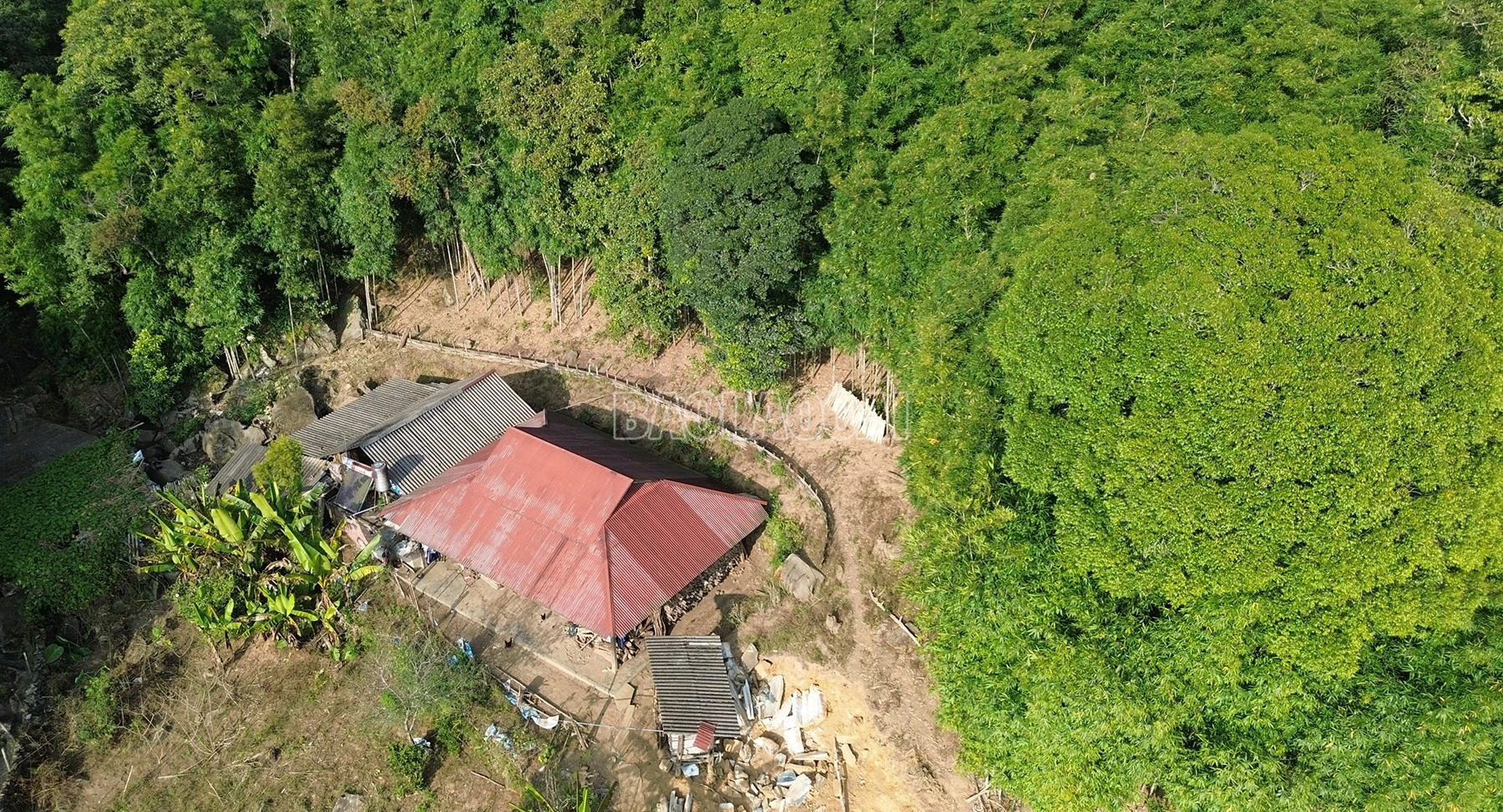 baolaocai-c_dji-0531.jpg