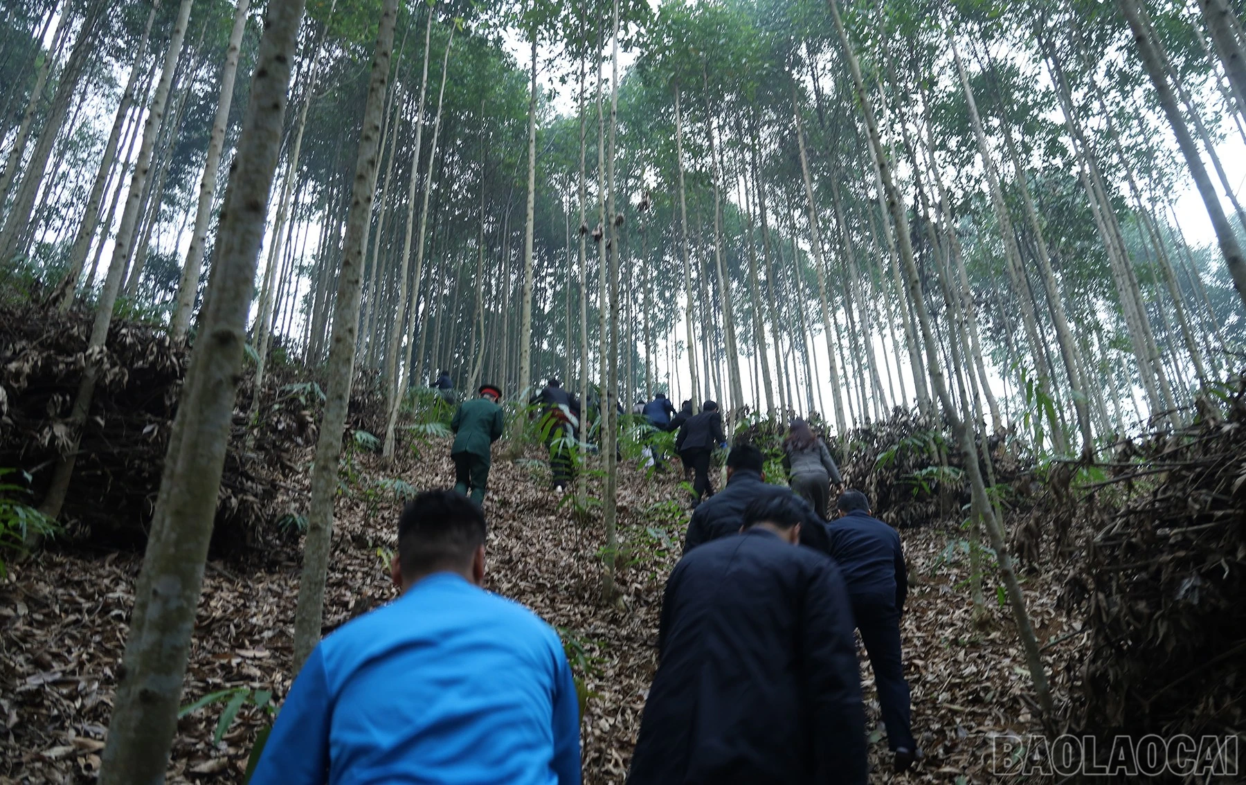 baolaocai-br_doan-cong-tac-cua-tinh-va-tong-cong-ty-dien-luc-mien-bac-khao-sat-cac-vi-tri-cot.jpg