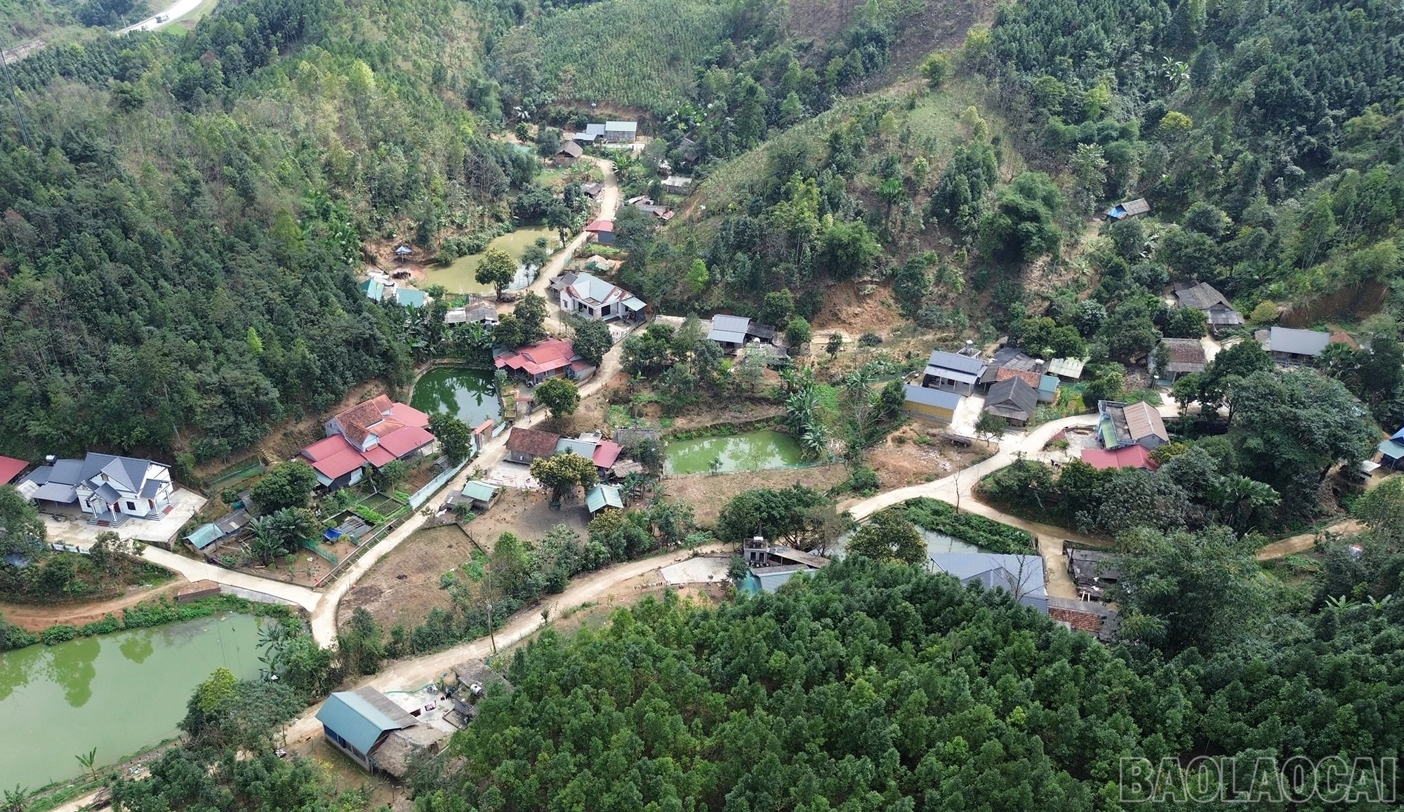 baolaocai-br_dji-0227.jpg