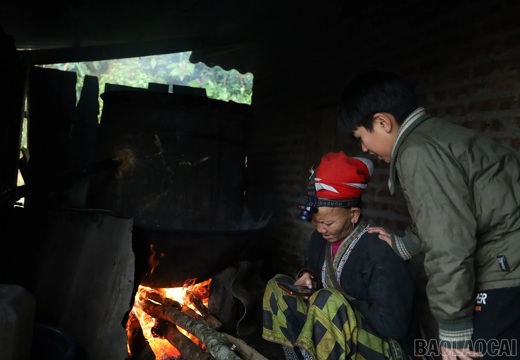 baolaocai-br_ds-3.jpg