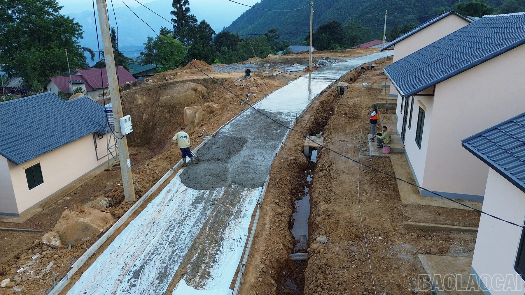 baolaocai-br_dji-0079.jpg