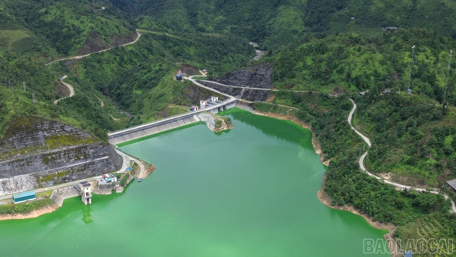 baolaocai-br_ch-1.jpg