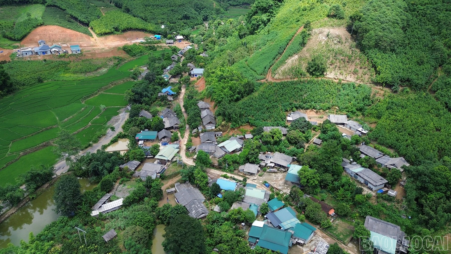baolaocai-br_banqua-5.jpg