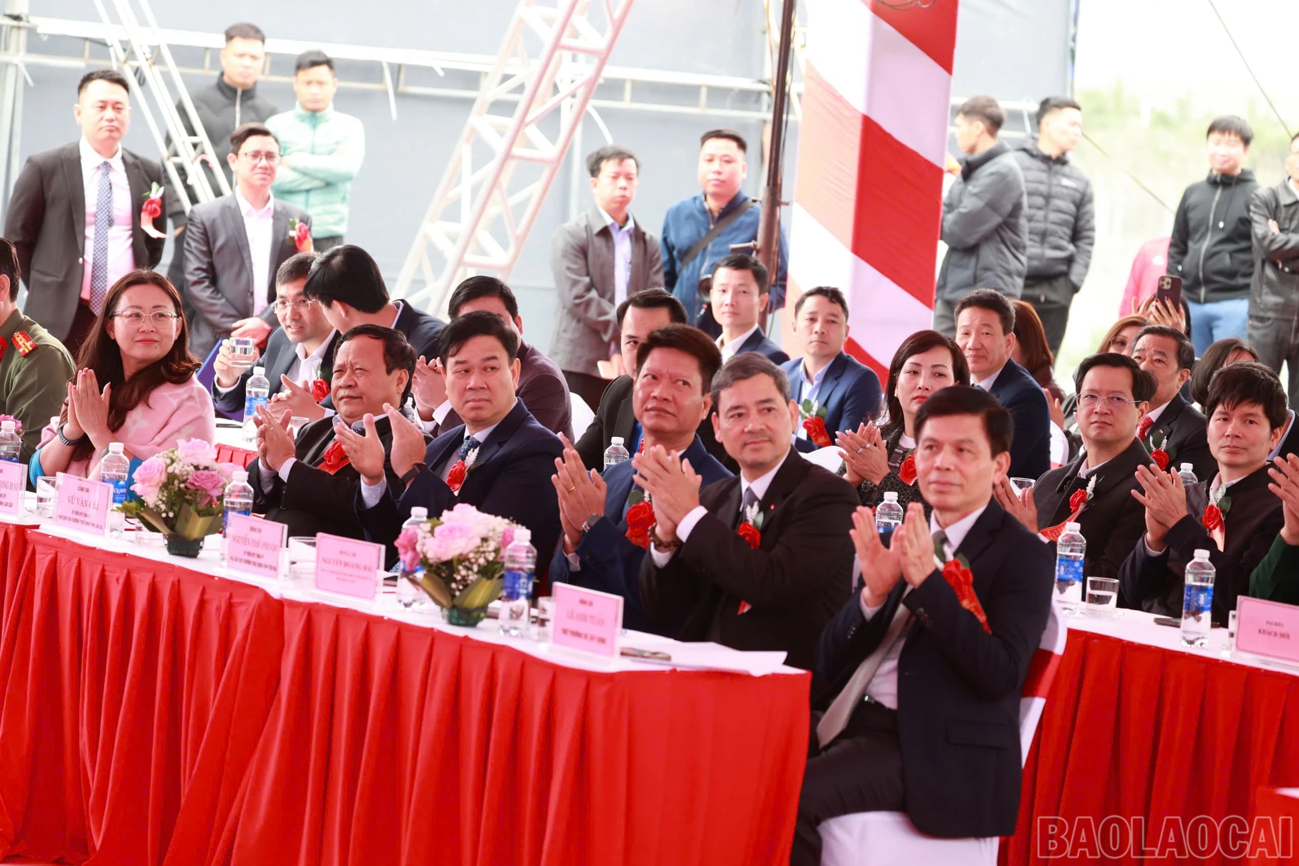 baolaocai-br_aa-3.jpg