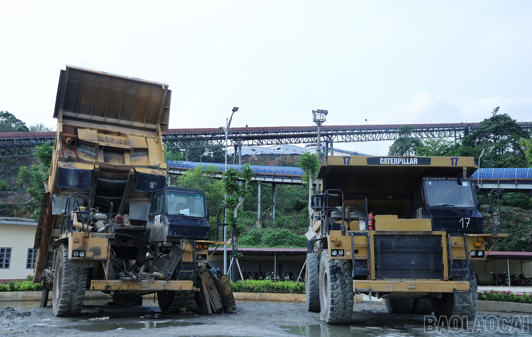 baolaocai-br_img-7829.jpg