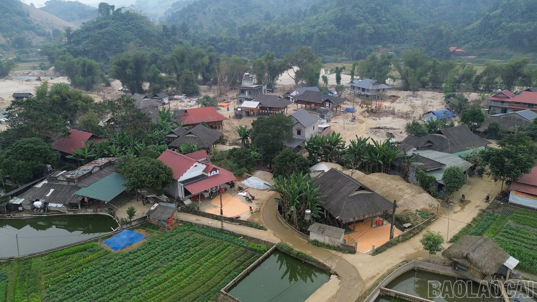 baolaocai-br_lccc-9.jpg