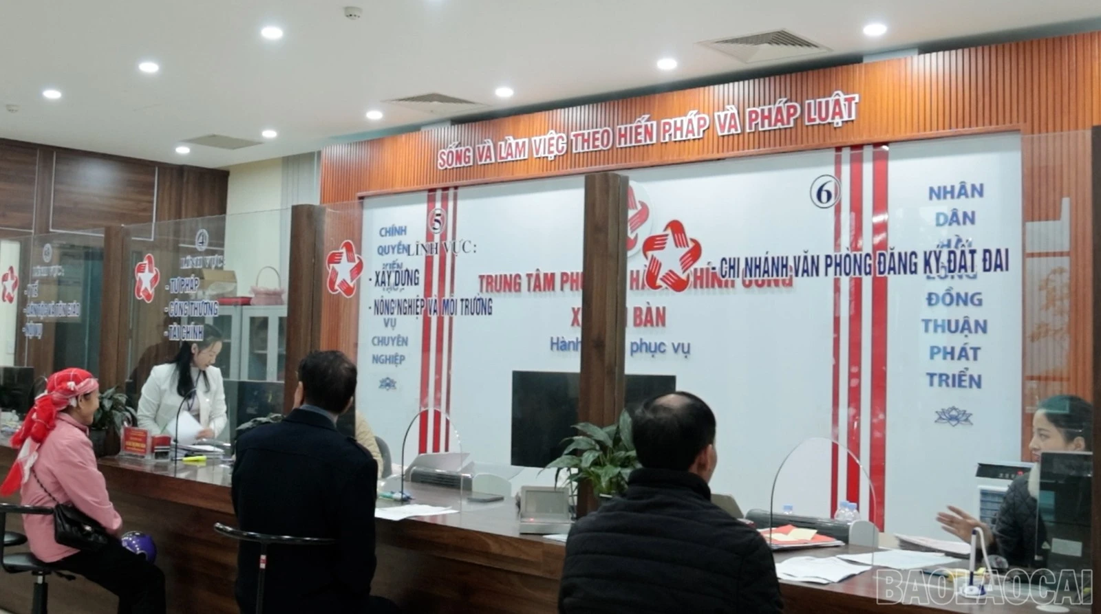 baolaocai-br_hq-1.jpg