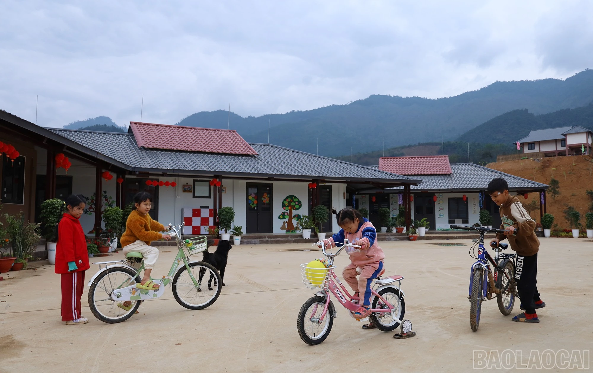 baolaocai-br_img-8387.jpg