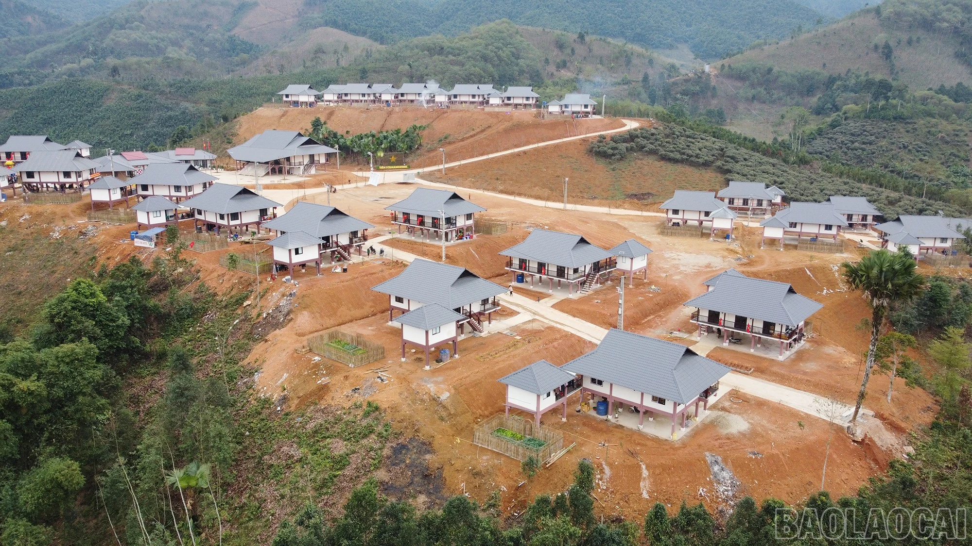 baolaocai-br_dji-0153.jpg