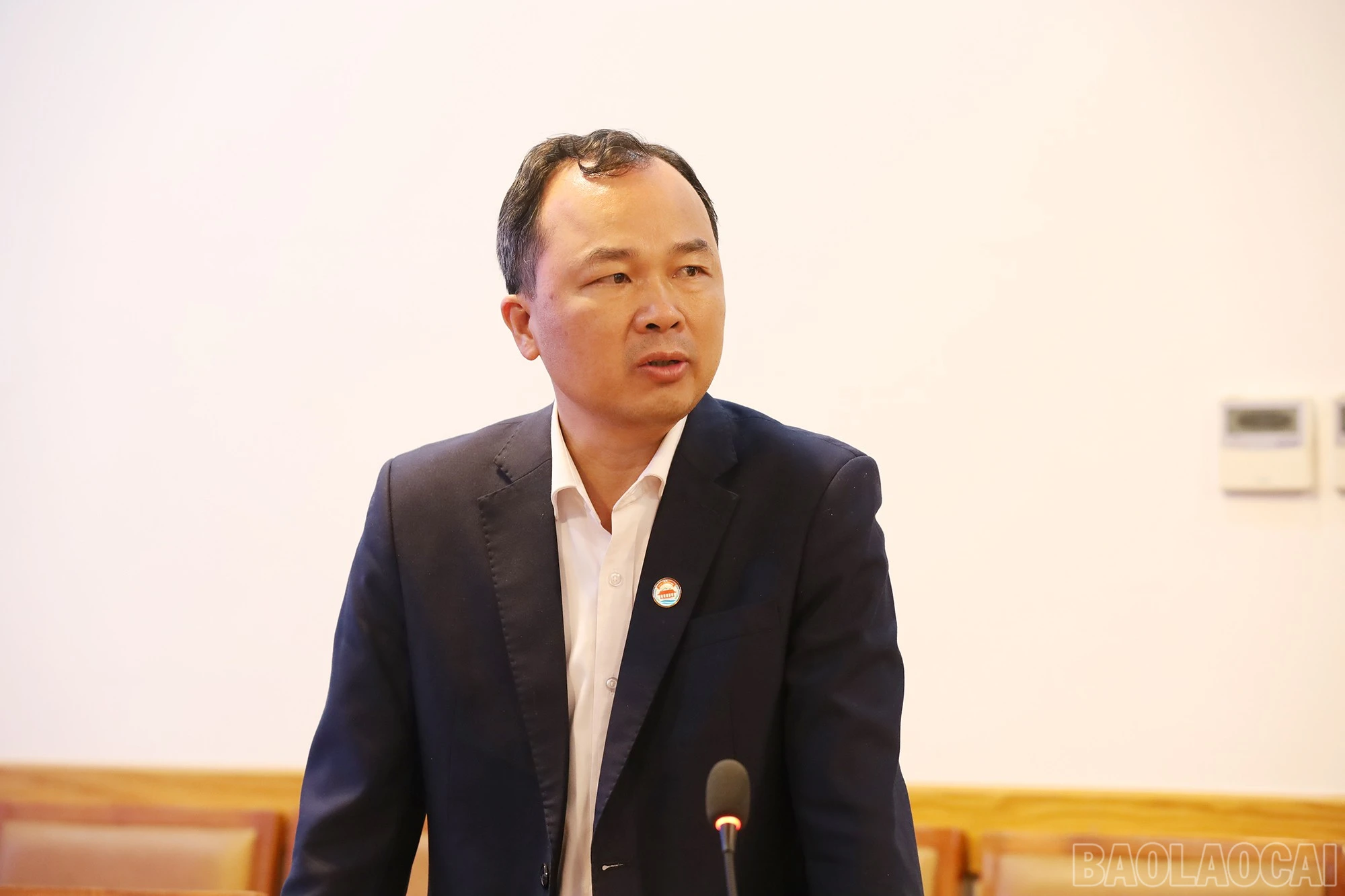 baolaocai-br_img-7226.jpg
