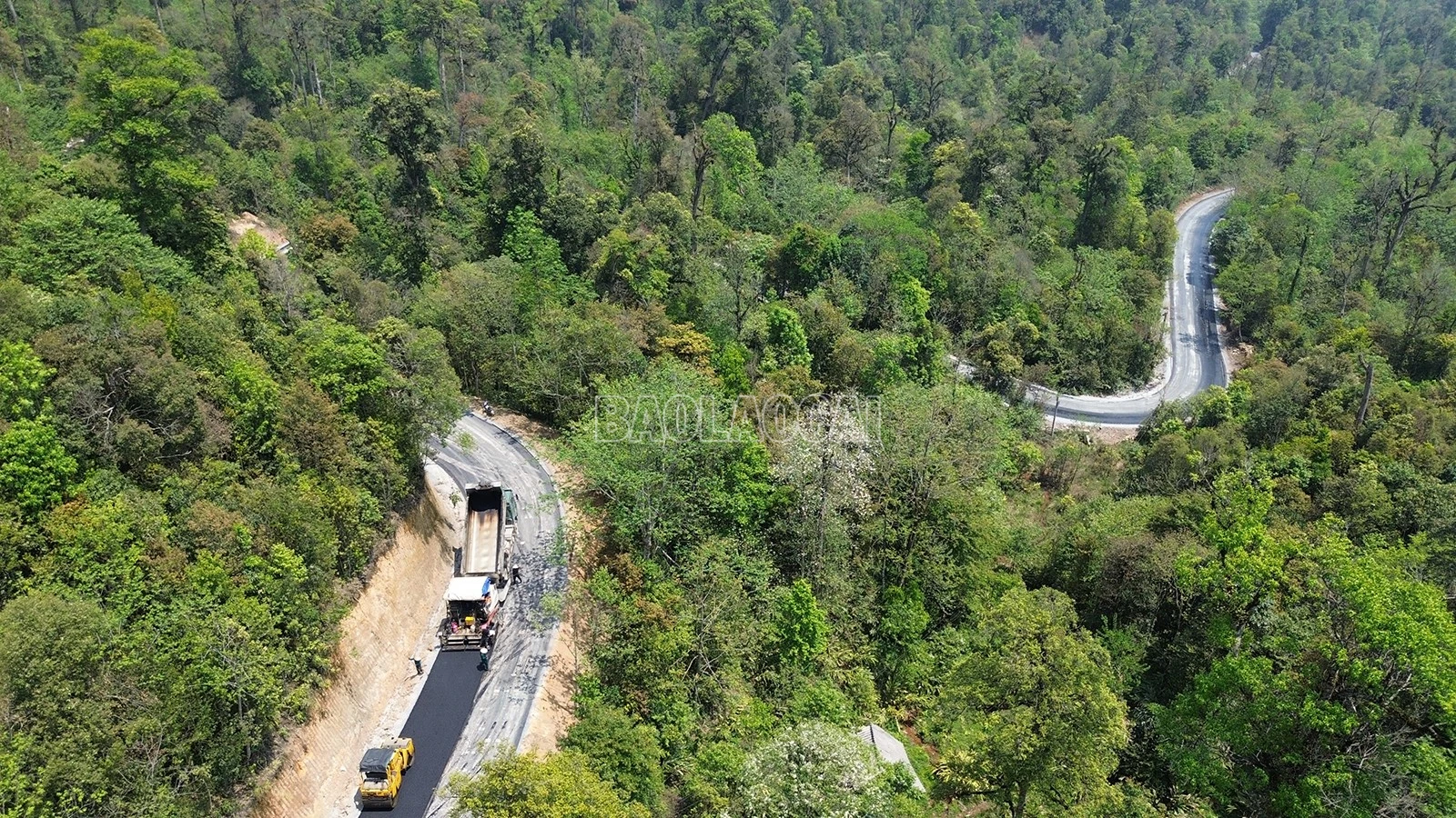 baolaocai-c_dji-0564.jpg