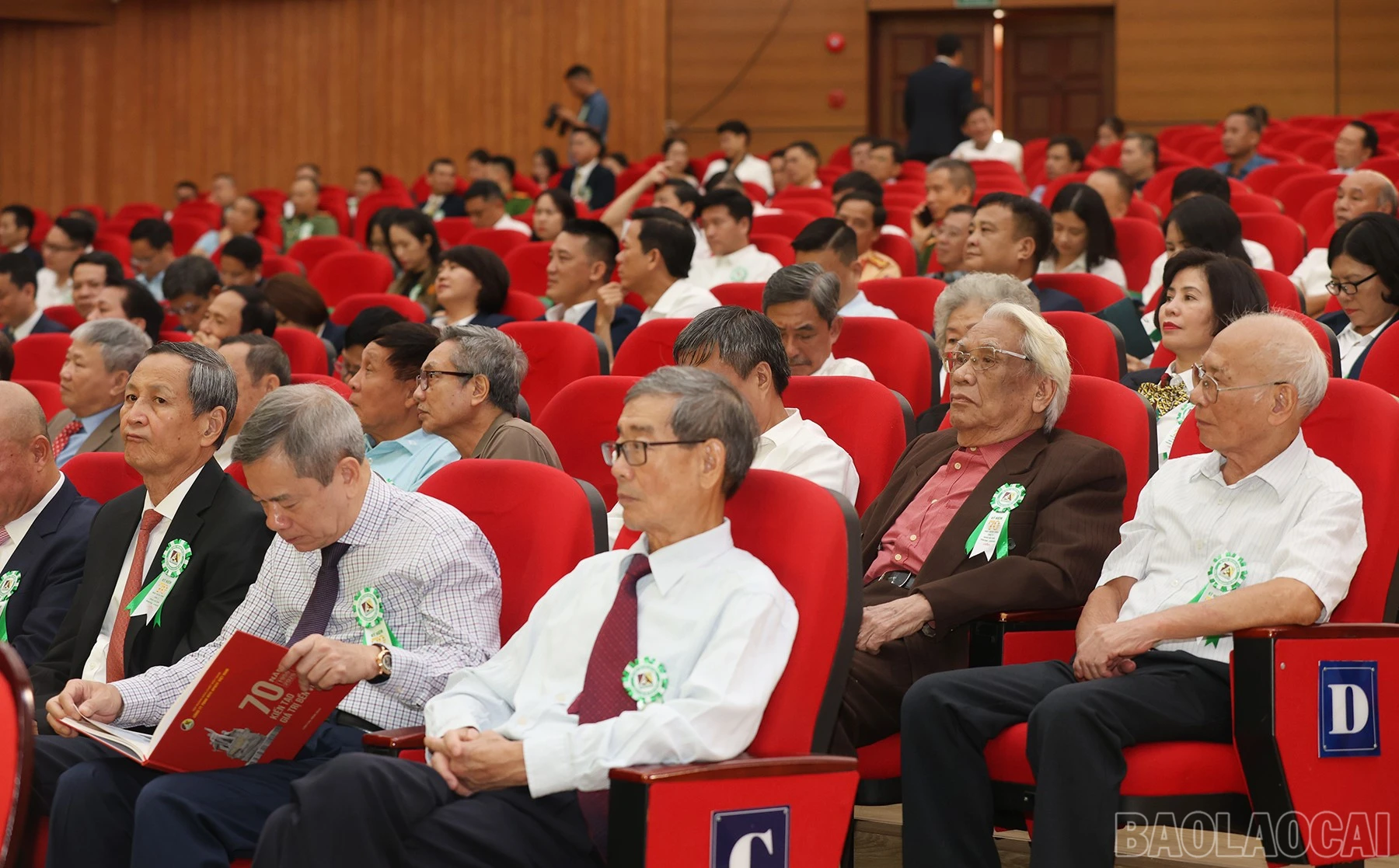 baolaocai-br_apatit-9.jpg
