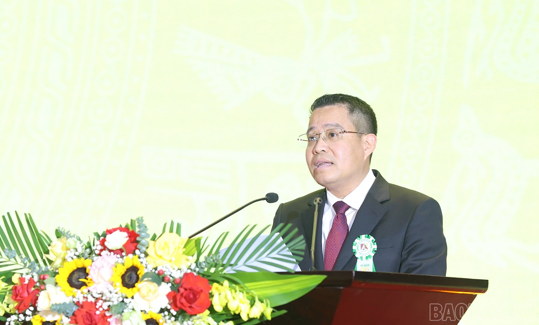 baolaocai-br_apatit-8.jpg