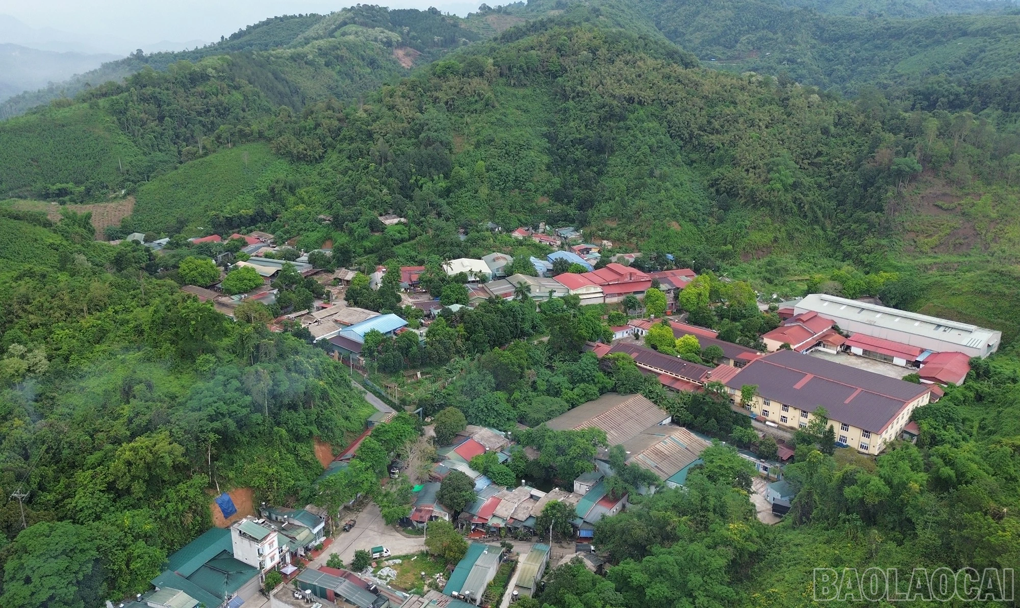 baolaocai-br_dji-0942-6299.jpg