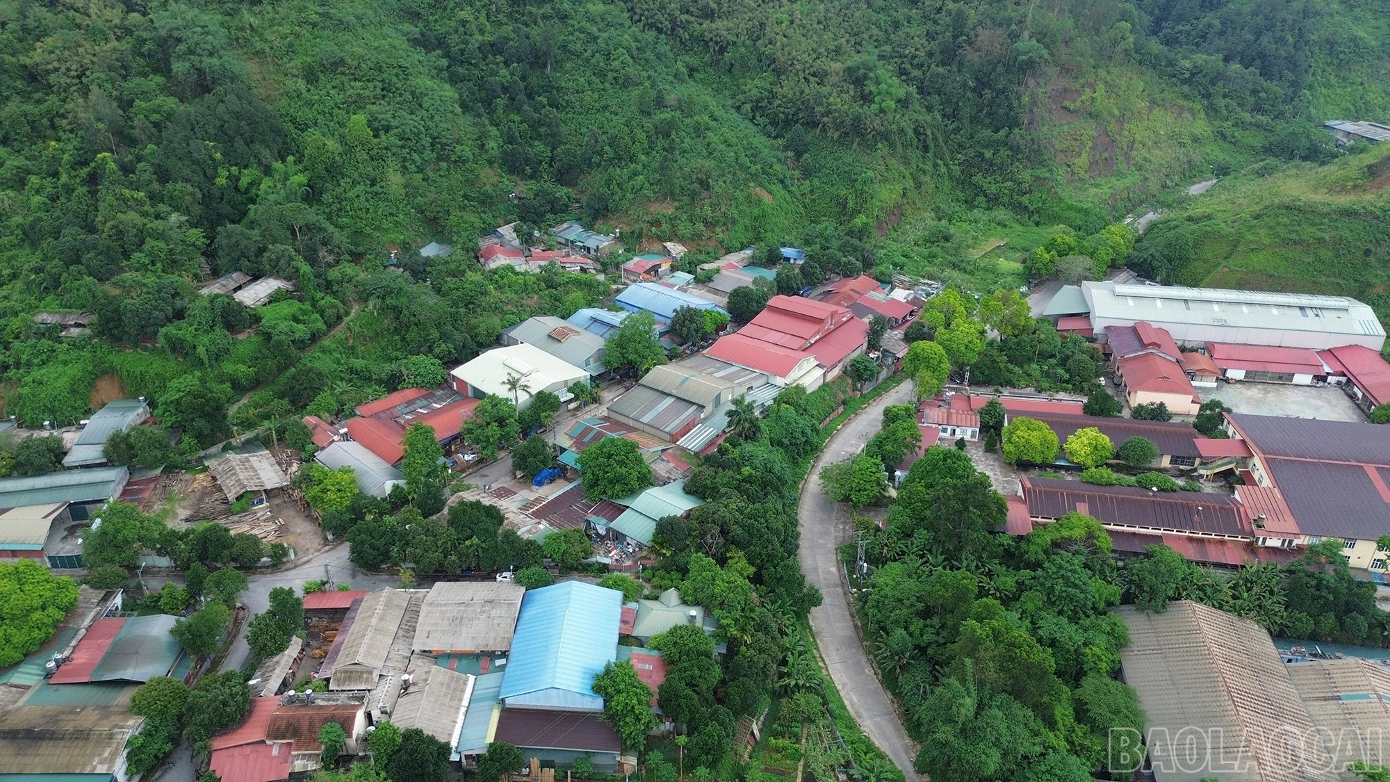 baolaocai-br_dji-0950.jpg