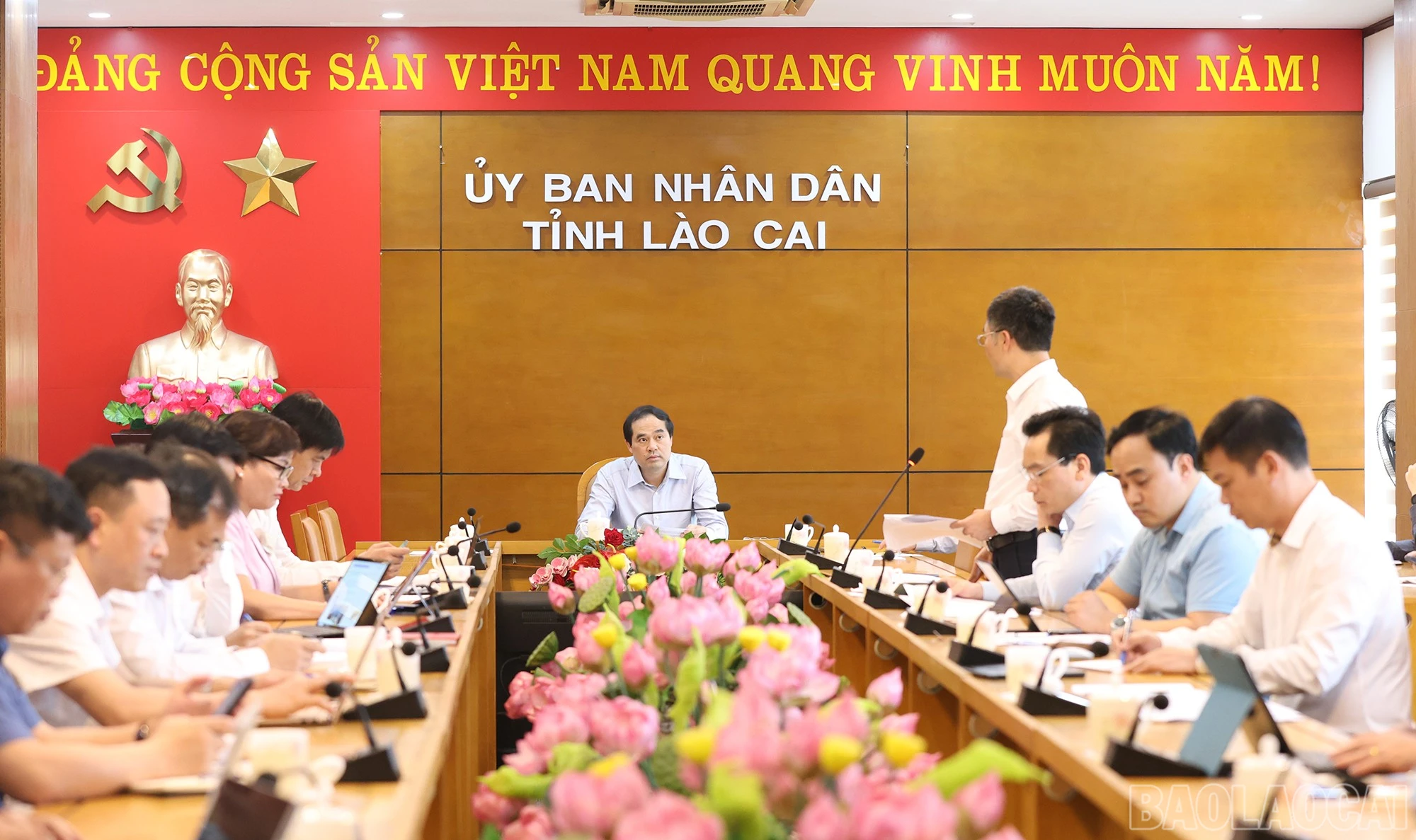 baolaocai-br_hop-1.jpg