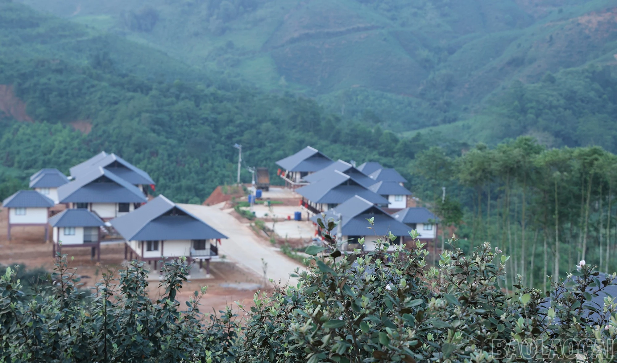 baolaocai-br_img-1596.jpg