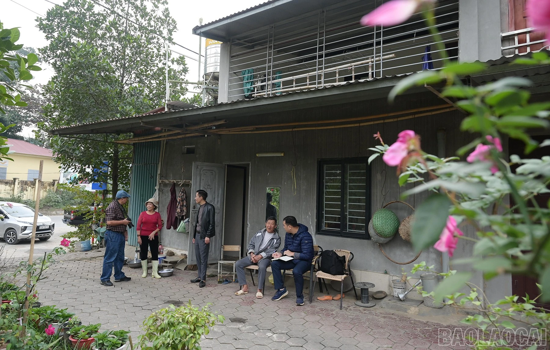baolaocai-br_hai-1188.jpg