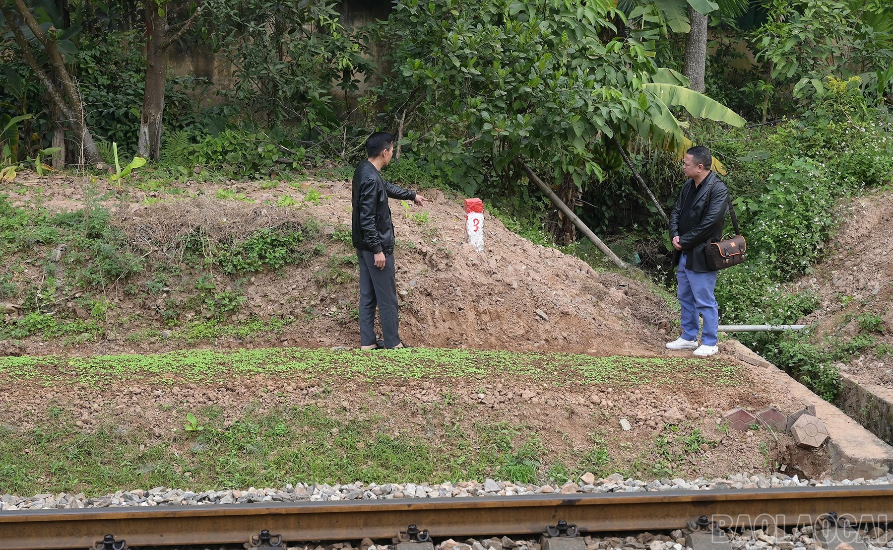 baolaocai-br_hai-1194.jpg