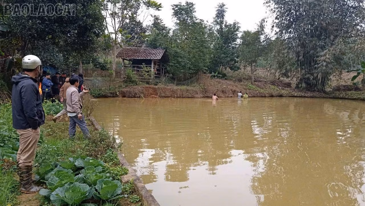 baolaocai-tl_471847631-618872160699329-3109698729211183686-n.jpg