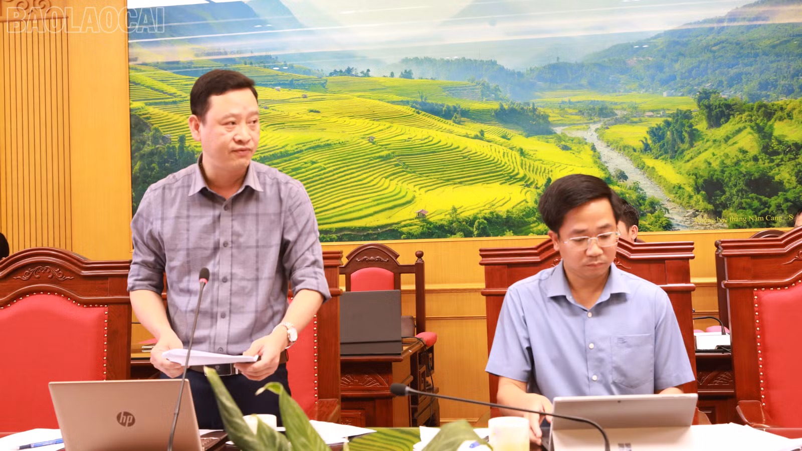baolaocai-tl_4y3a4133.jpg