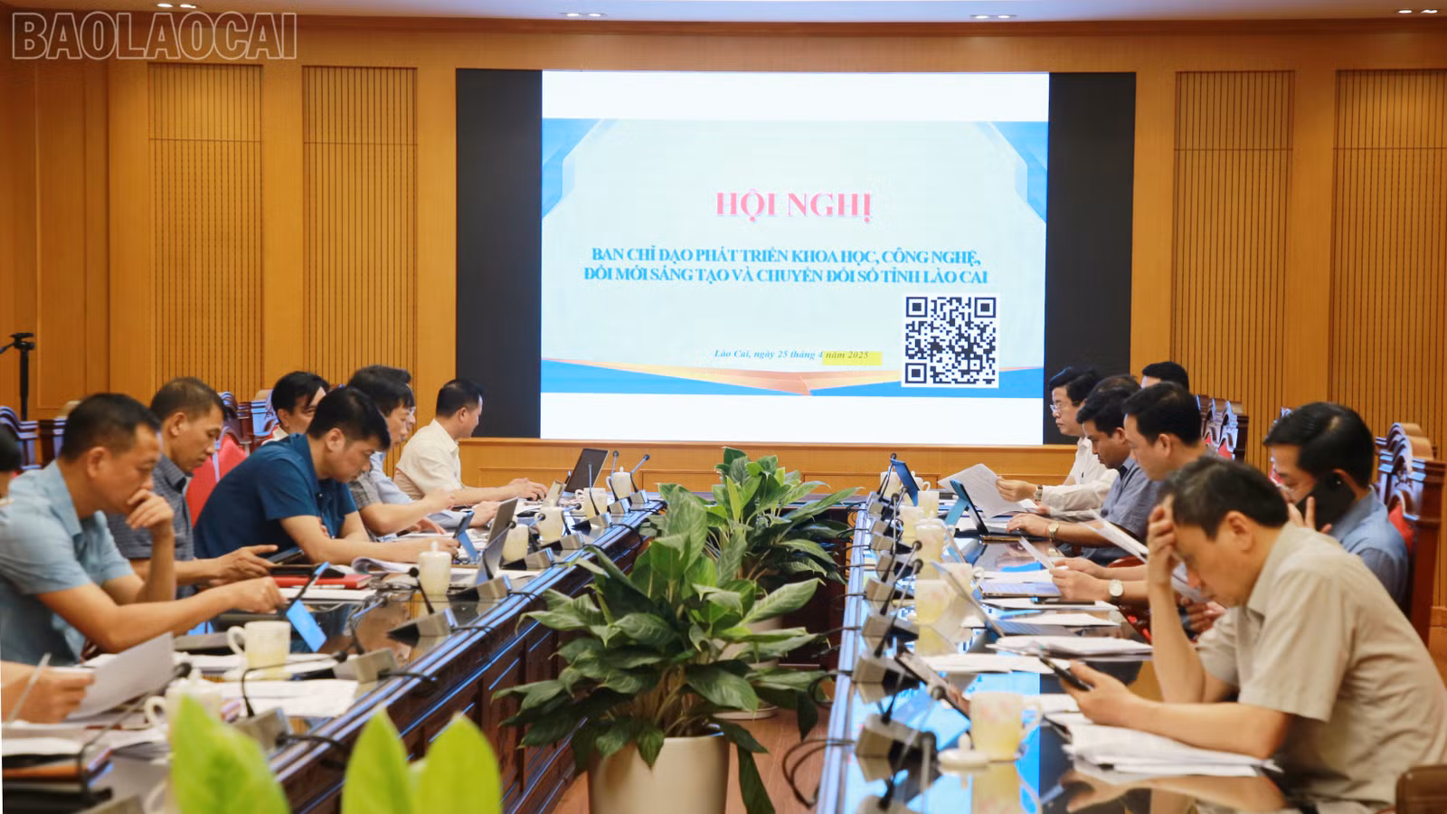 baolaocai-tl_img-0790.jpg