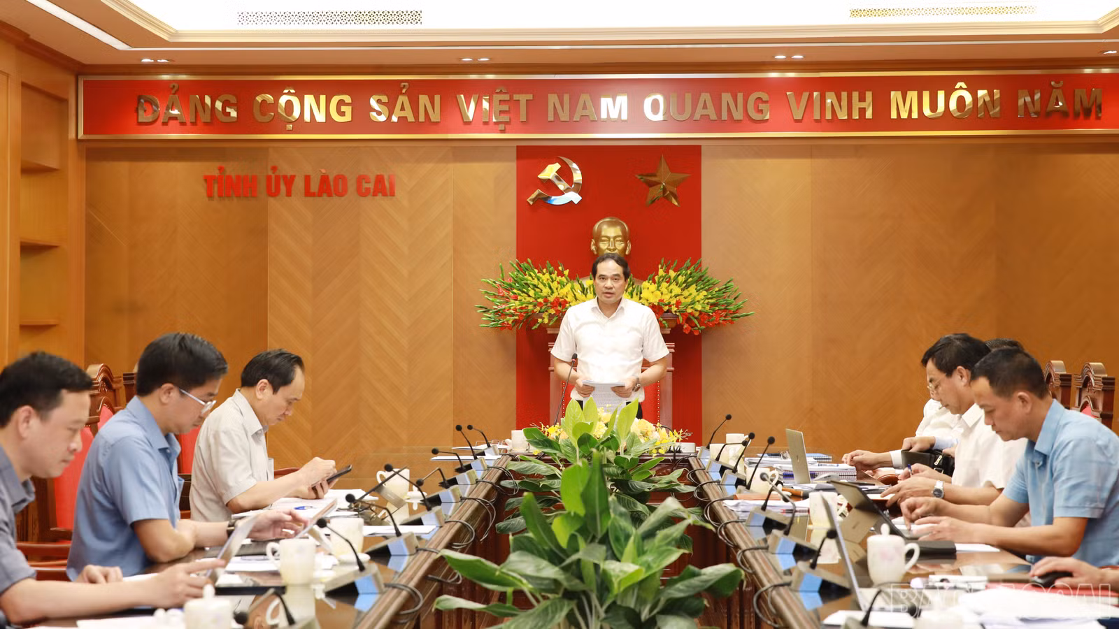 baolaocai-br_4y3a4158.jpg