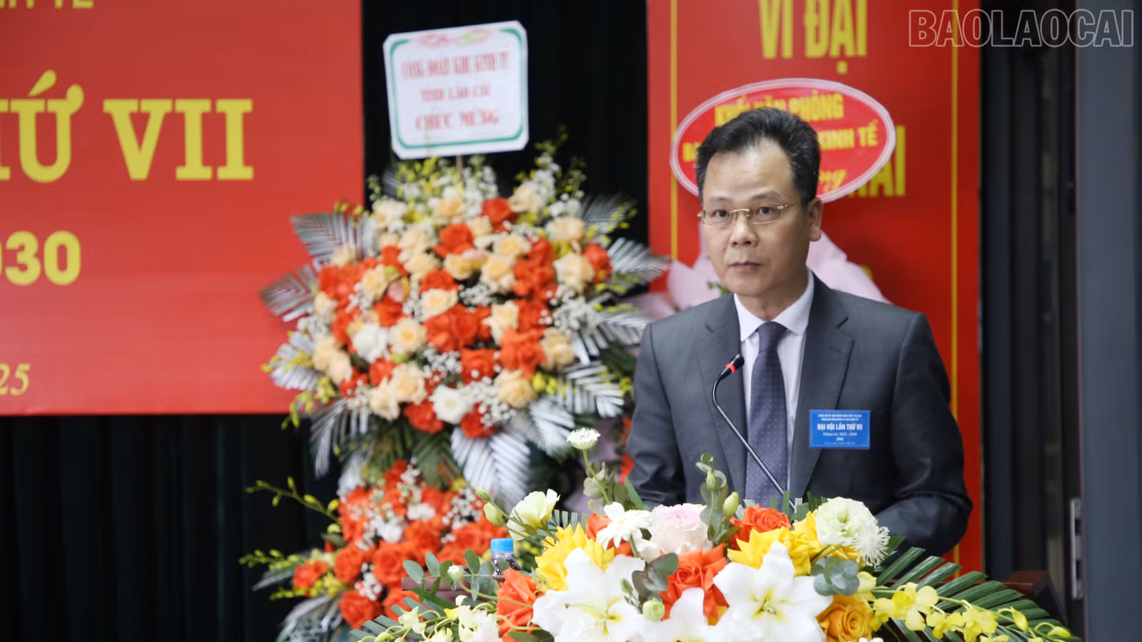 baolaocai-tr_img-0489.jpg
