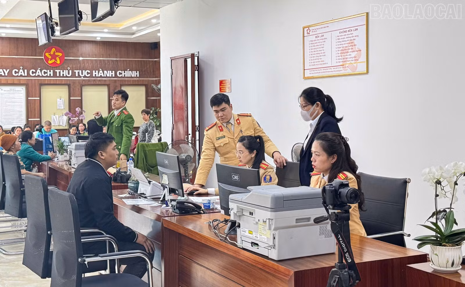 baolaocai-tr_z6370514749078-10b6accb875b948ea365f7ebe01d9563-3064.jpg