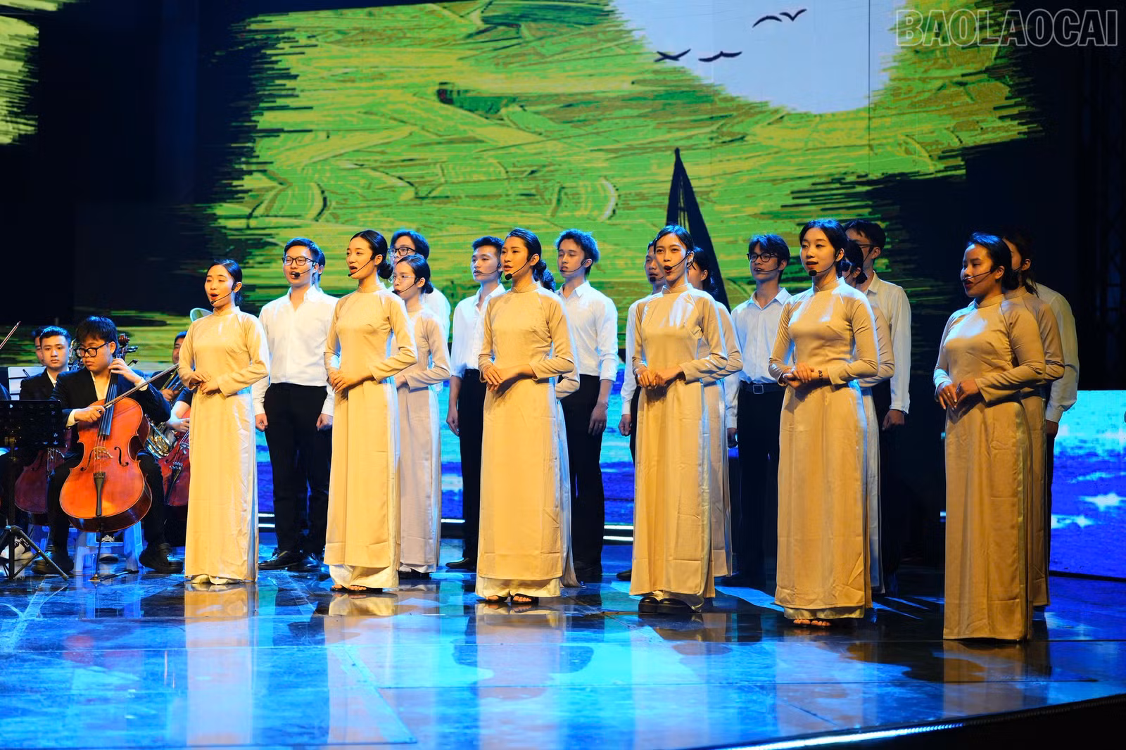 baolaocai-tr_z6573015049837-0eb5d0564f96f687521b5d659e969581.jpg