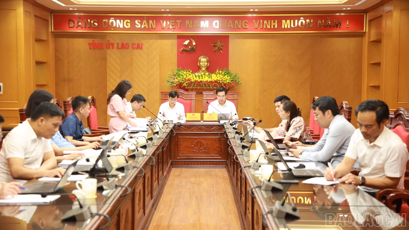 baolaocai-br_img-0891.jpg